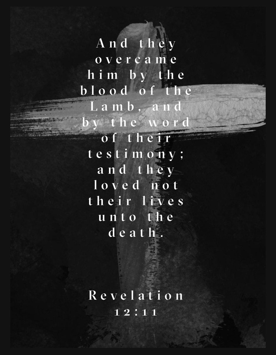 David Mindful tweet media