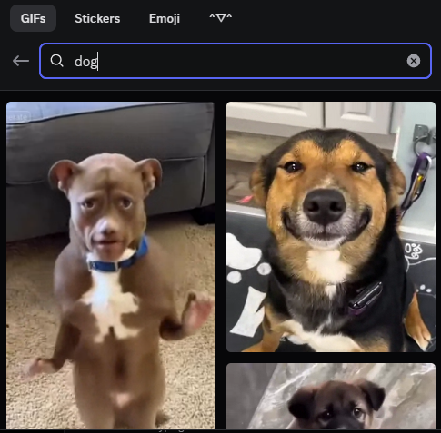 DrawyWild tweet media