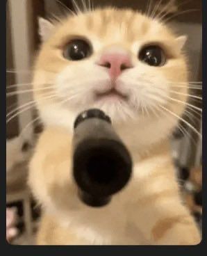 TAYO ✳️ tweet media