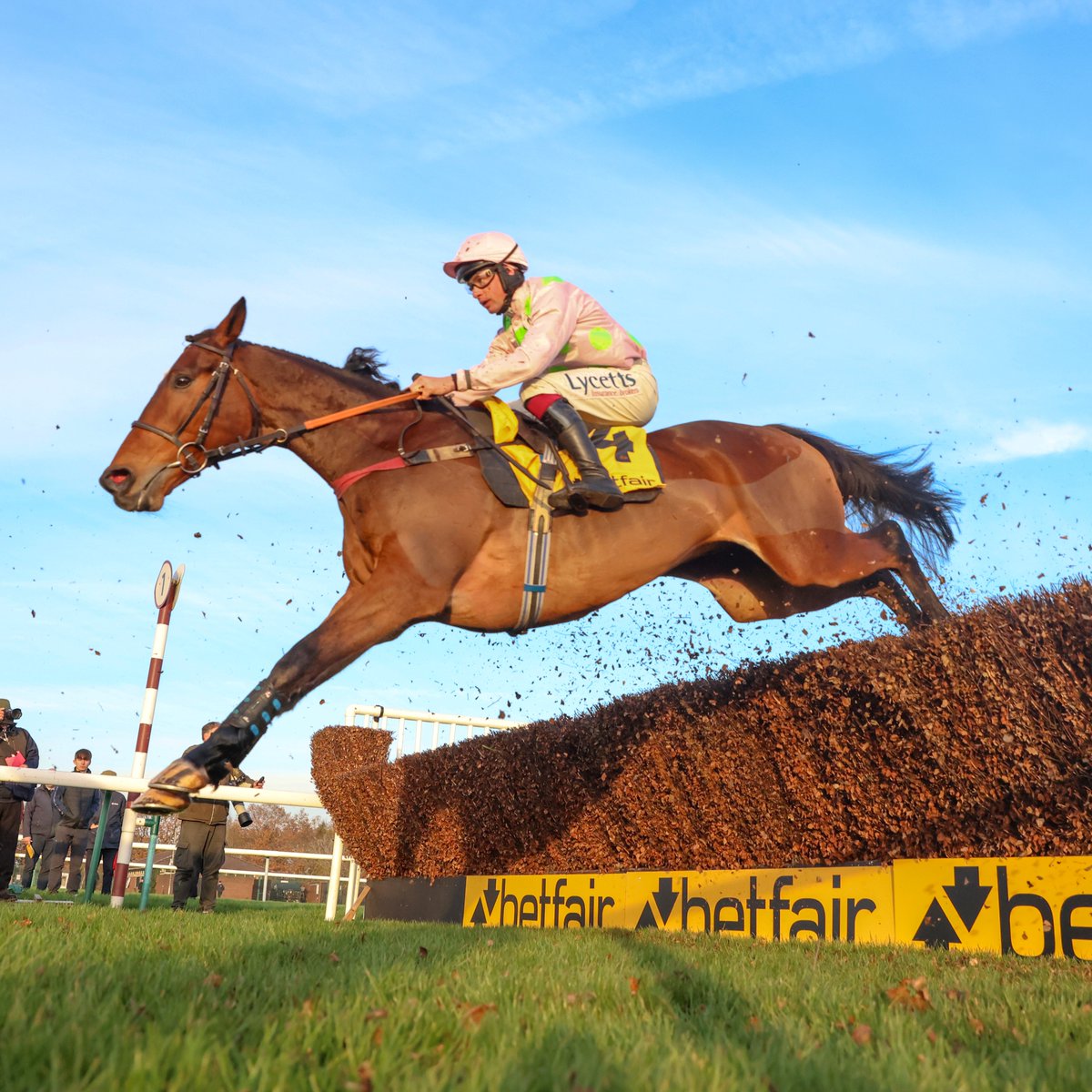 Racing Post tweet media