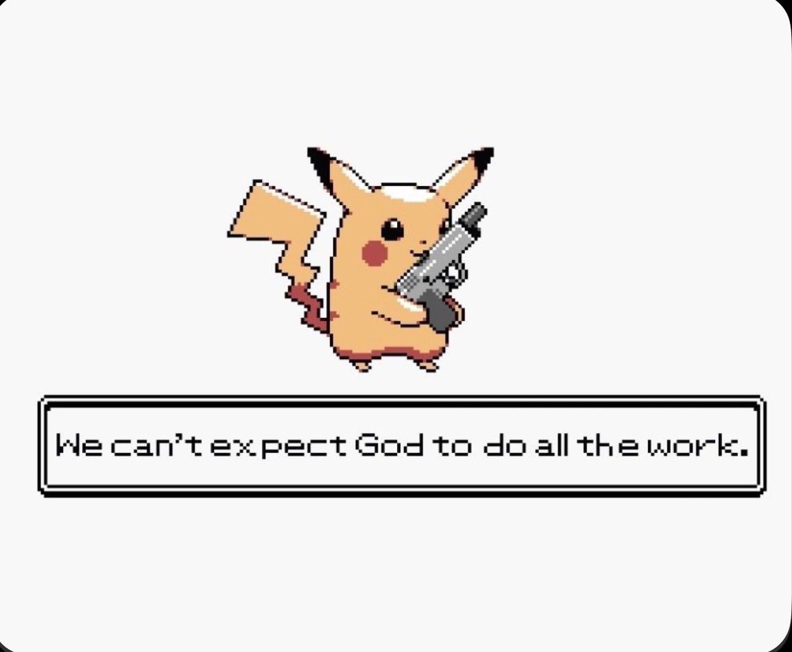 🌻🌻🌻 tweet media