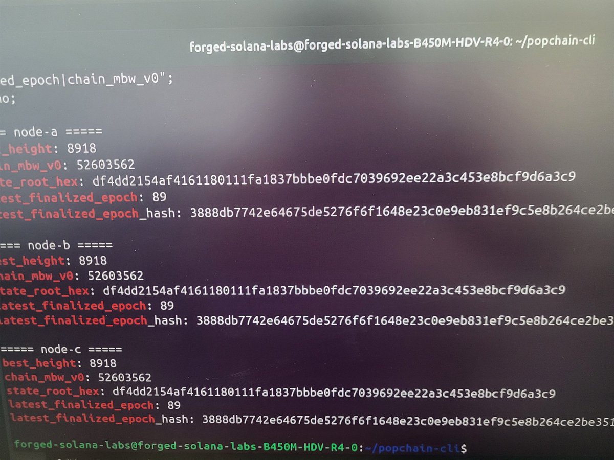 PoPChain Network tweet media