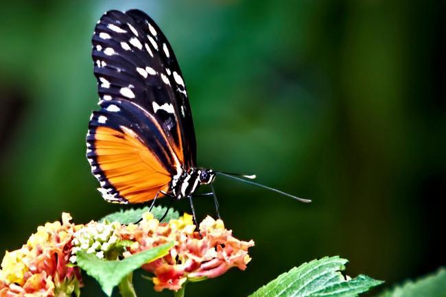 OH Dept of Ed and Workforce tweet media