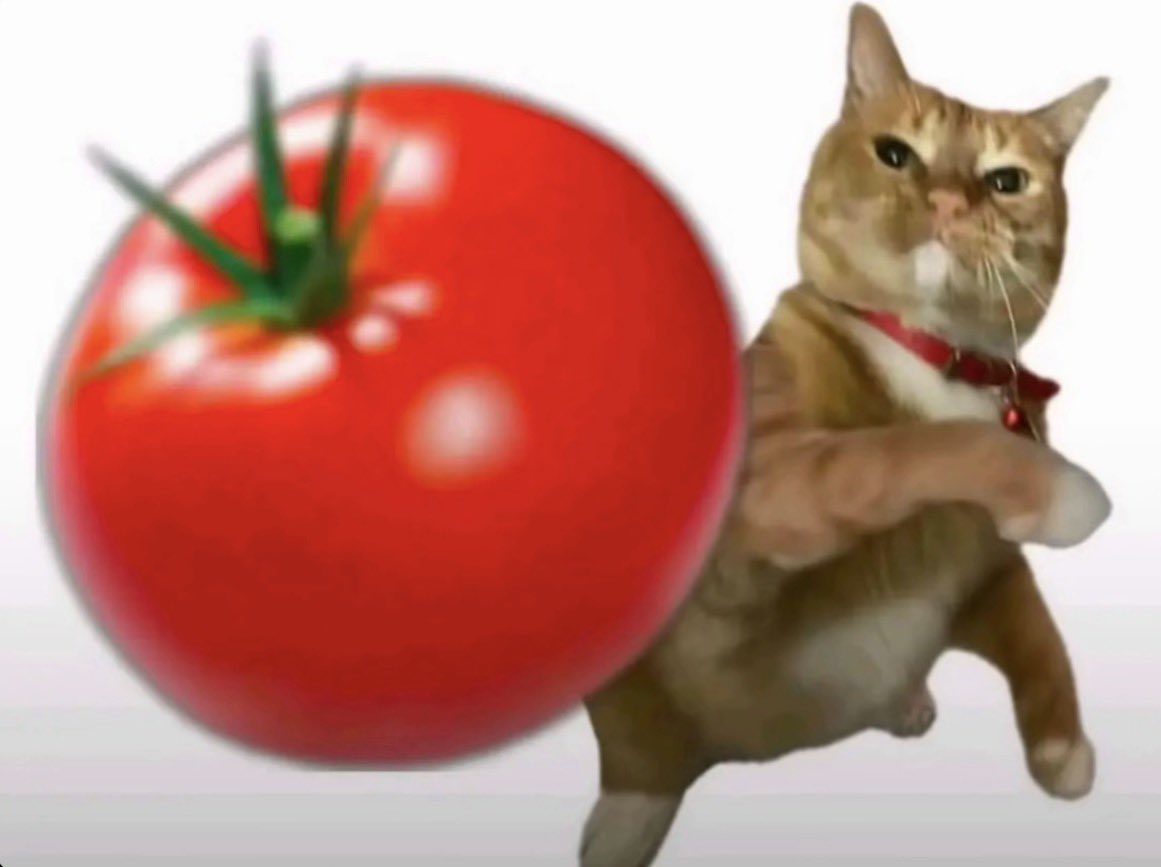 hannah🌱 tweet media