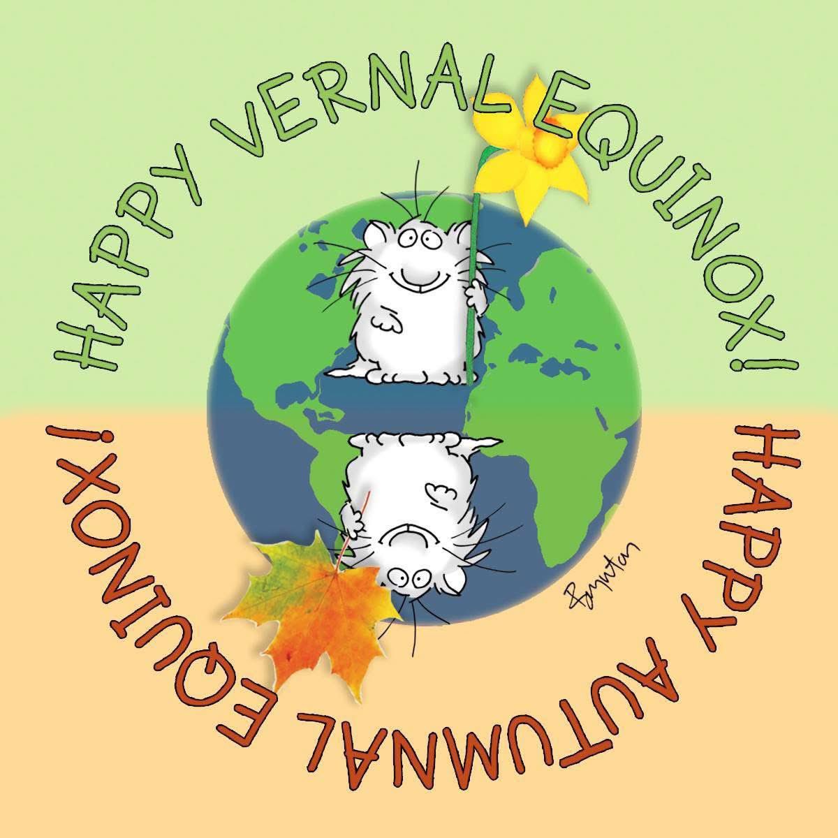 Annette Sanchez Baesel 🌻🌻🌻🌻🌻 tweet media