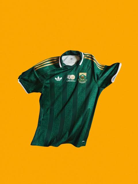 South Africa Trivia tweet media