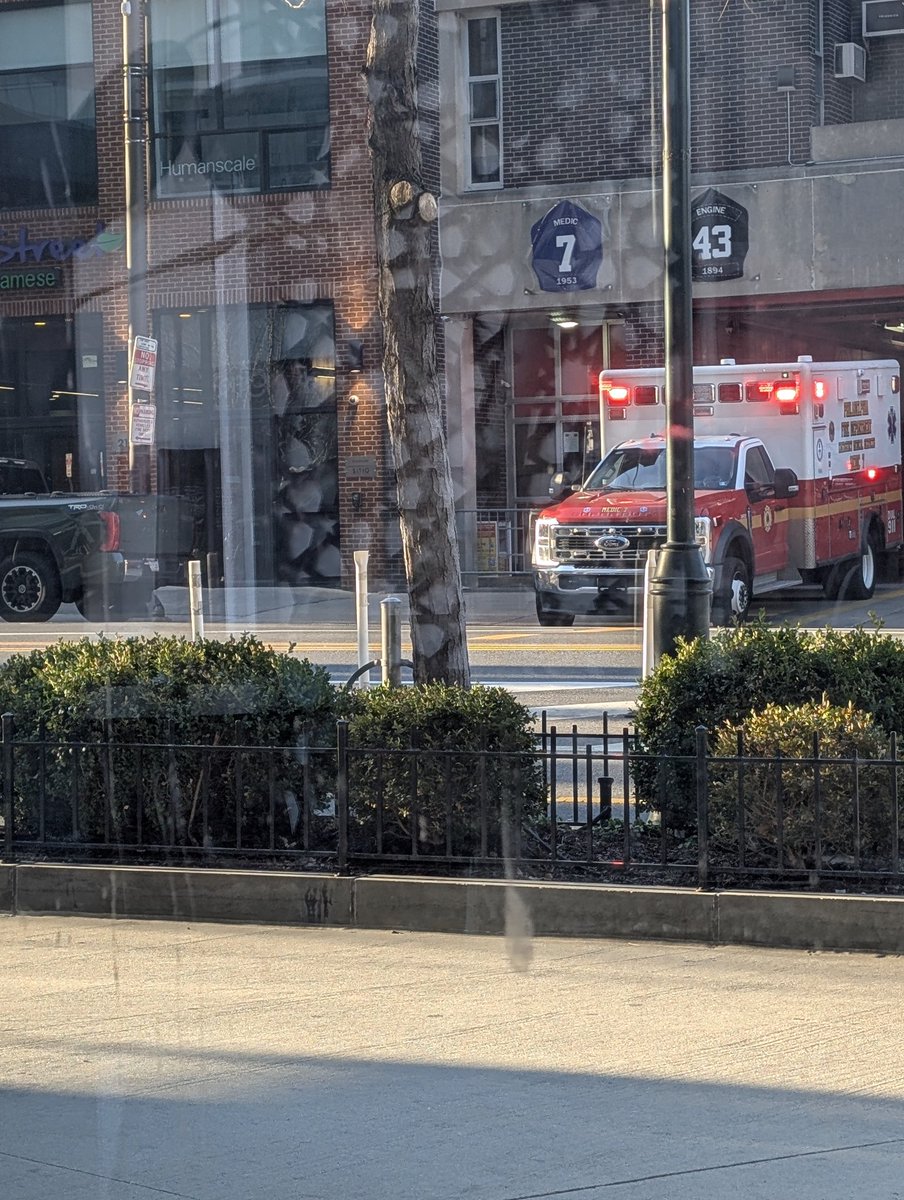 A Philadelphia Pigeon tweet media