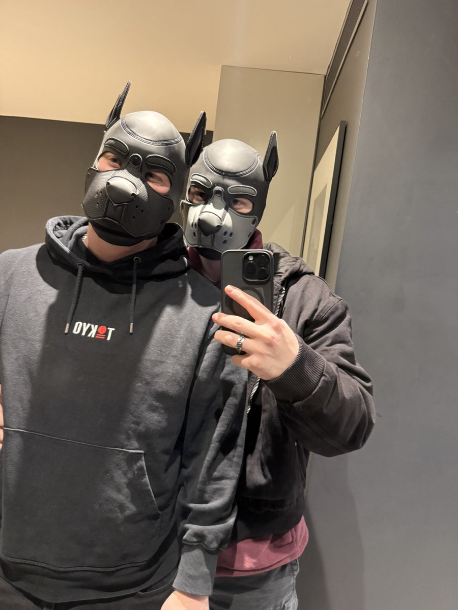 Pup_Comet tweet media