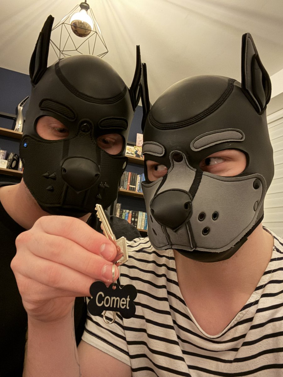 Pup_Comet tweet media