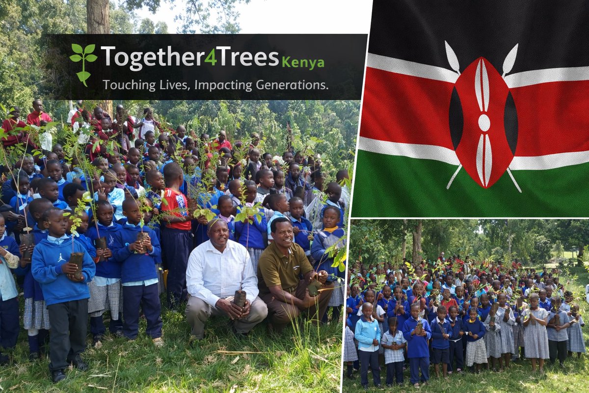 together 4trees tweet media