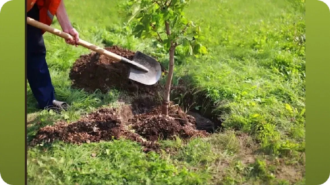 AzataHerman's tweet photo. Cette image dit tout 🌿
Tout commence par toi. Fais la différence.

Voir le post 👉 https://t.co/2ibTwRfinV
Gagne du GREEN sur ECOX Network pendant que tu agis :
https://t.co/exES2CmQqm

#ECOX #GREEN #ECO_TO_EARN https://t.co/U7ggWcwkXJ