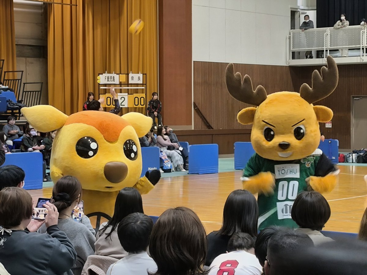 matsukichi@2階席 tweet media