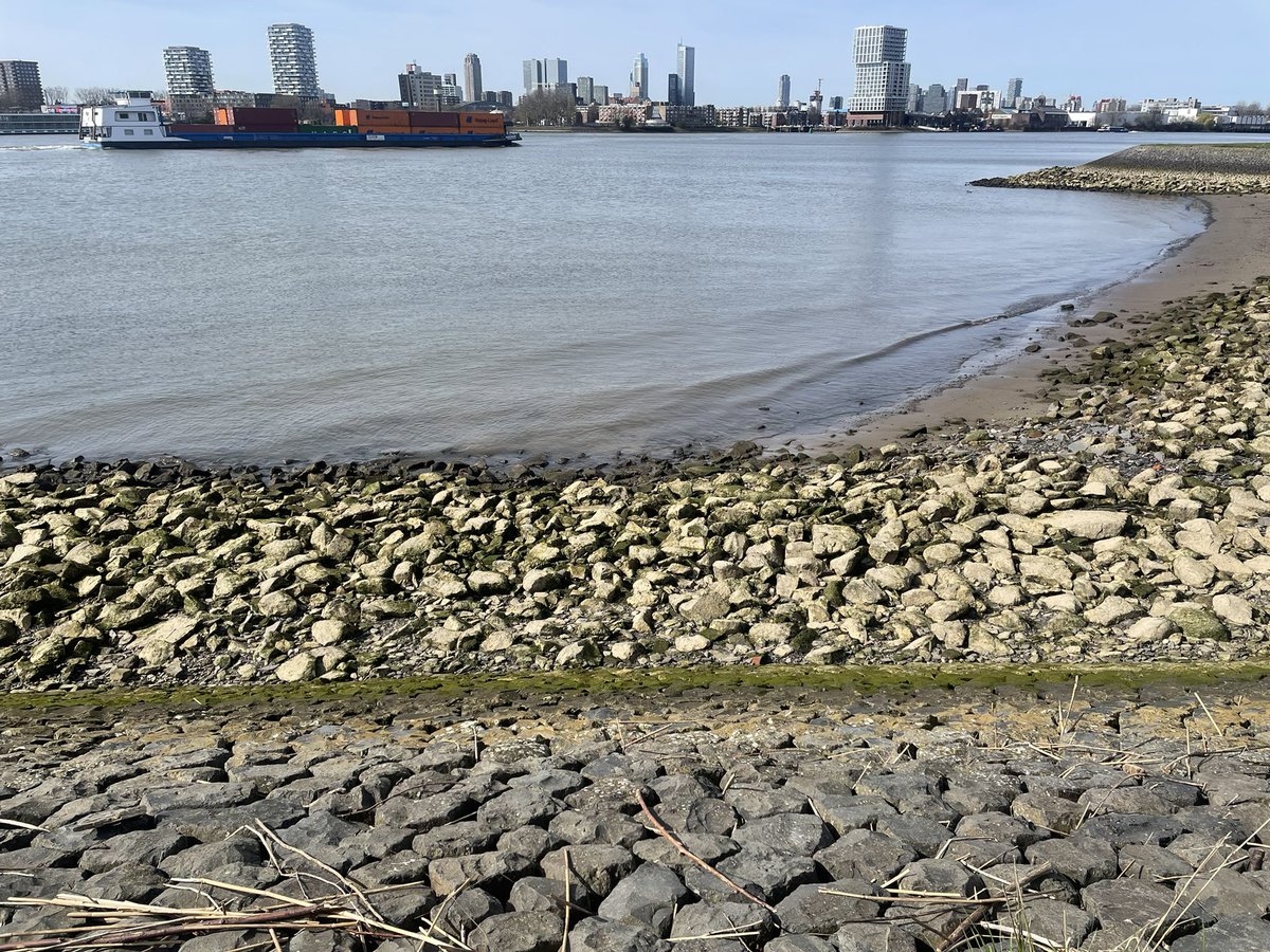 Marjolijn vd Assem tweet media