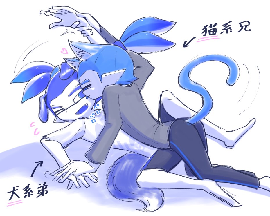 シャ一プペン_Spen🖊️ tweet media