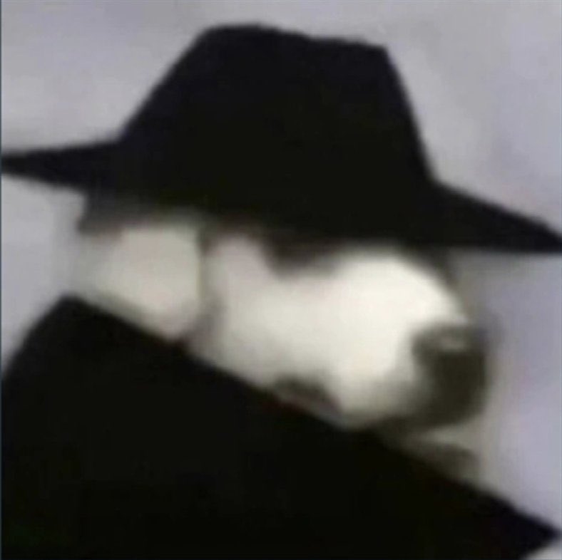 alineflaᶜʳᶠ TETR4 DA LIBERTA tweet media