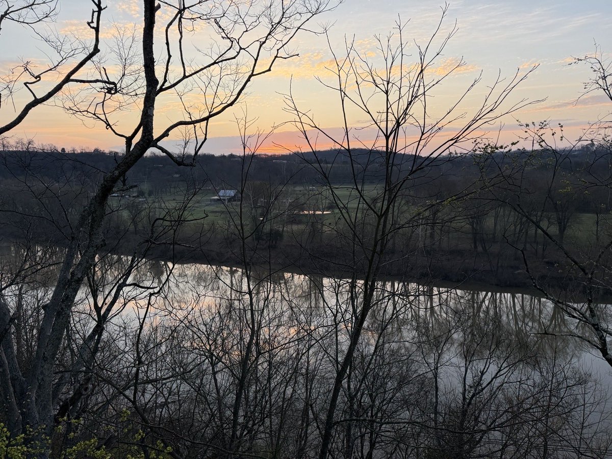 Governor Andy Beshear tweet media