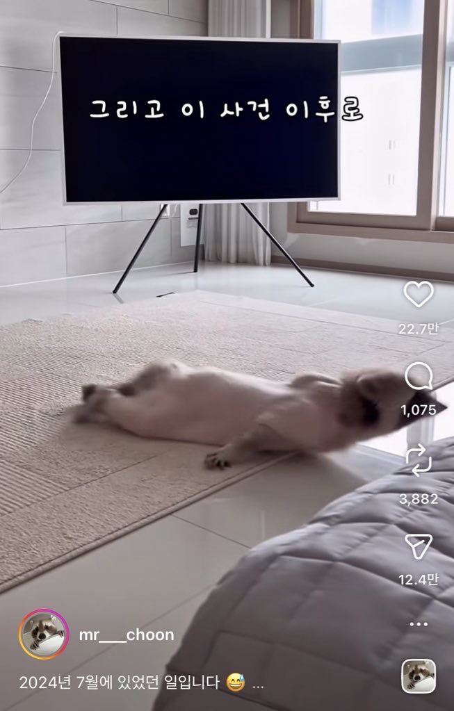 오랑🍀l tweet media