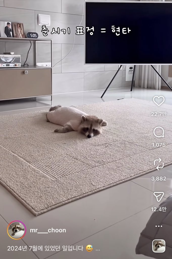 오랑🍀l tweet media