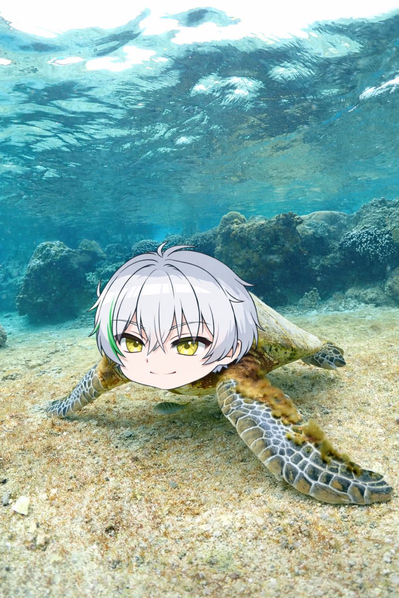 ぬんちゃく tweet media