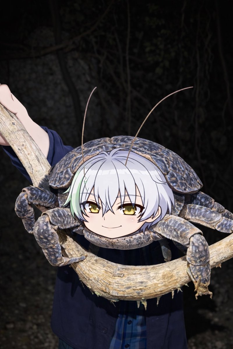 ぬんちゃく tweet media