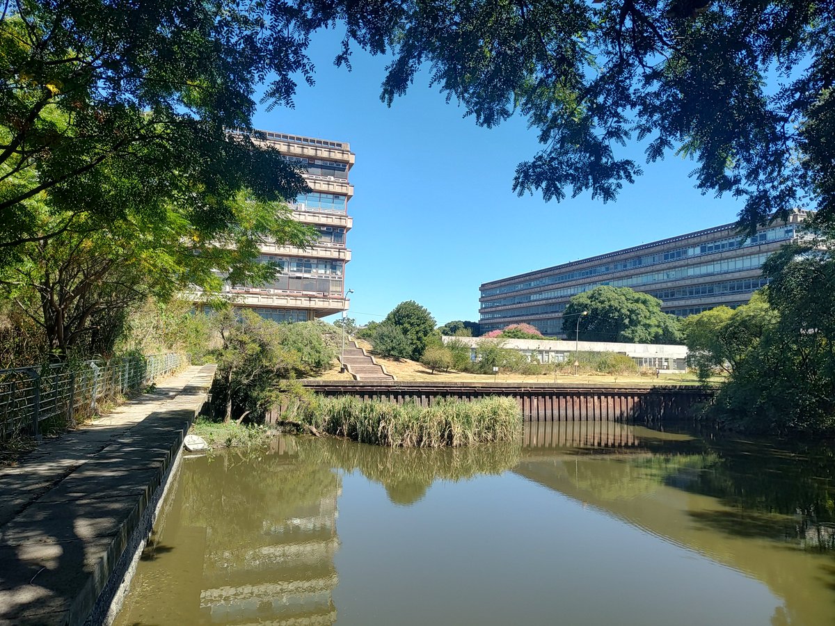 Lab Candolfi, FMed.⭐⭐⭐ tweet media