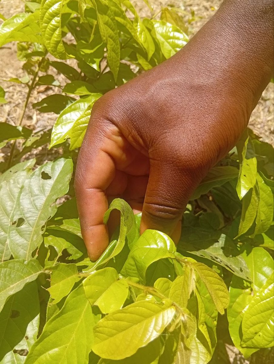 Ledgebase tweet media