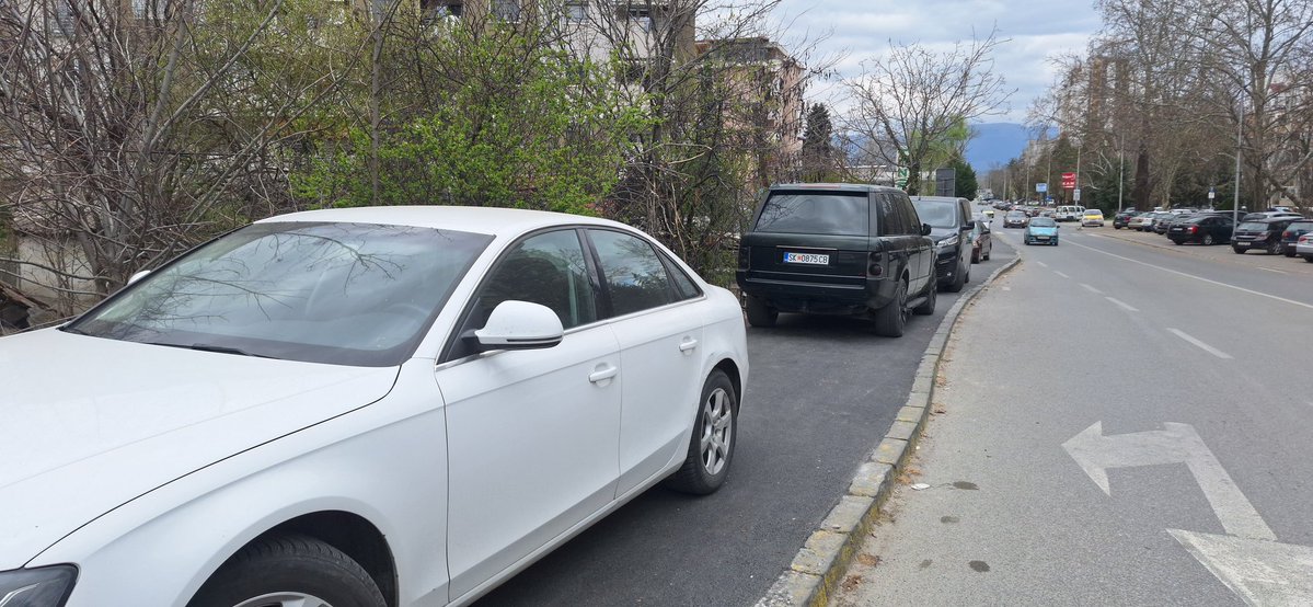 Сафра Шпанец tweet media