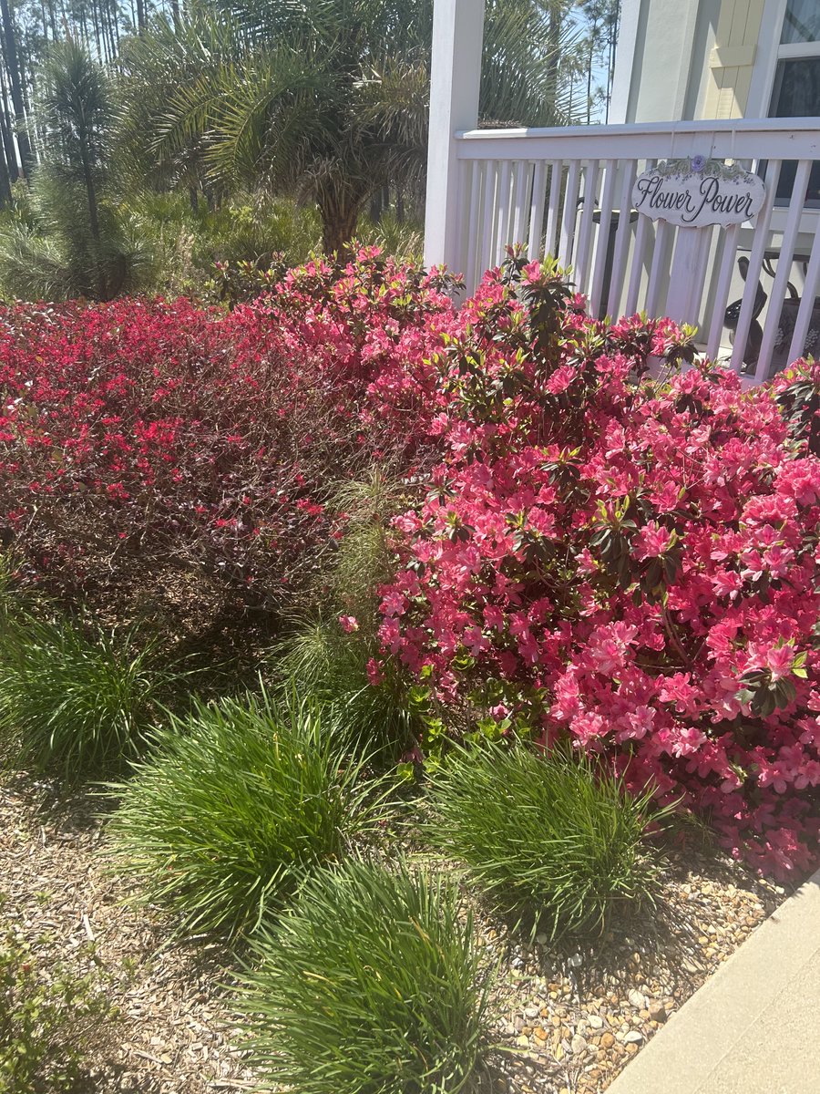 Professor Anthony tweet media