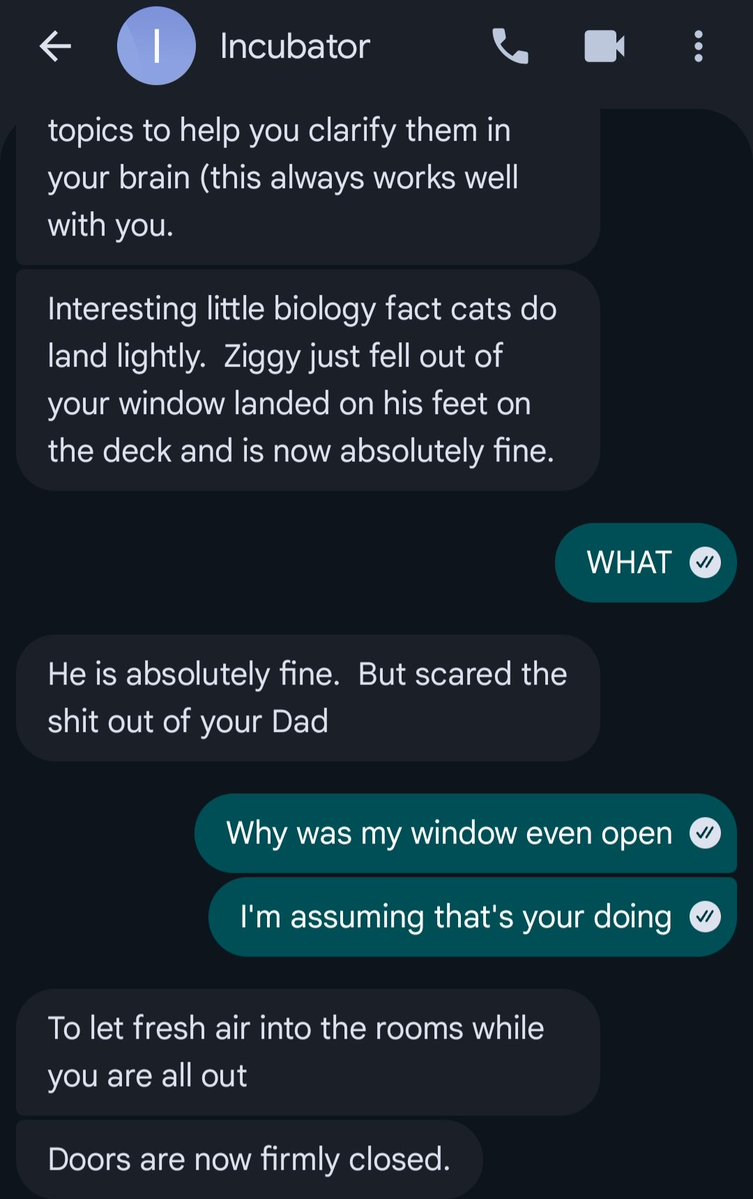 Tymbark Jasper/Shilo Bold 🌈🖋 tweet media