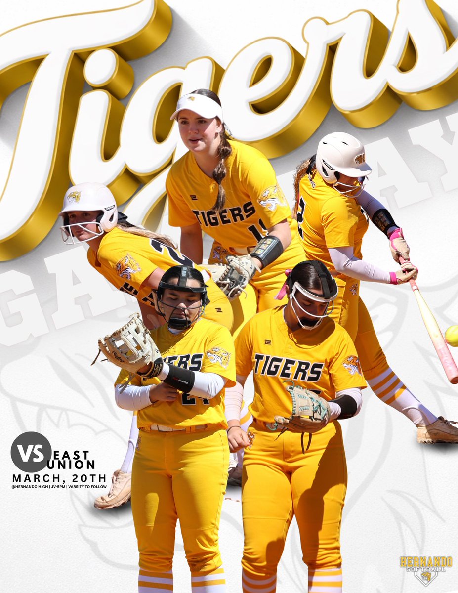 Hernando Softball tweet media