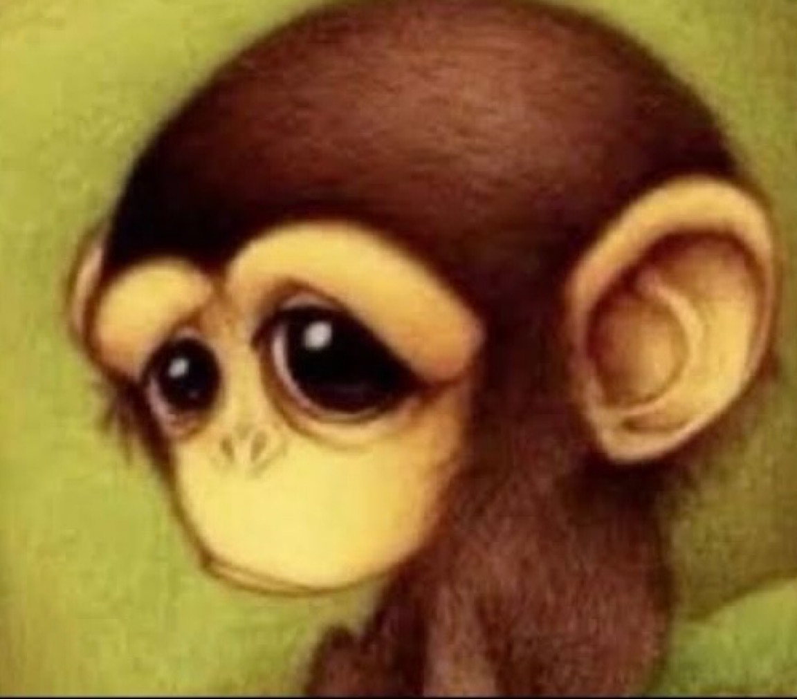 Arc Trading tweet media