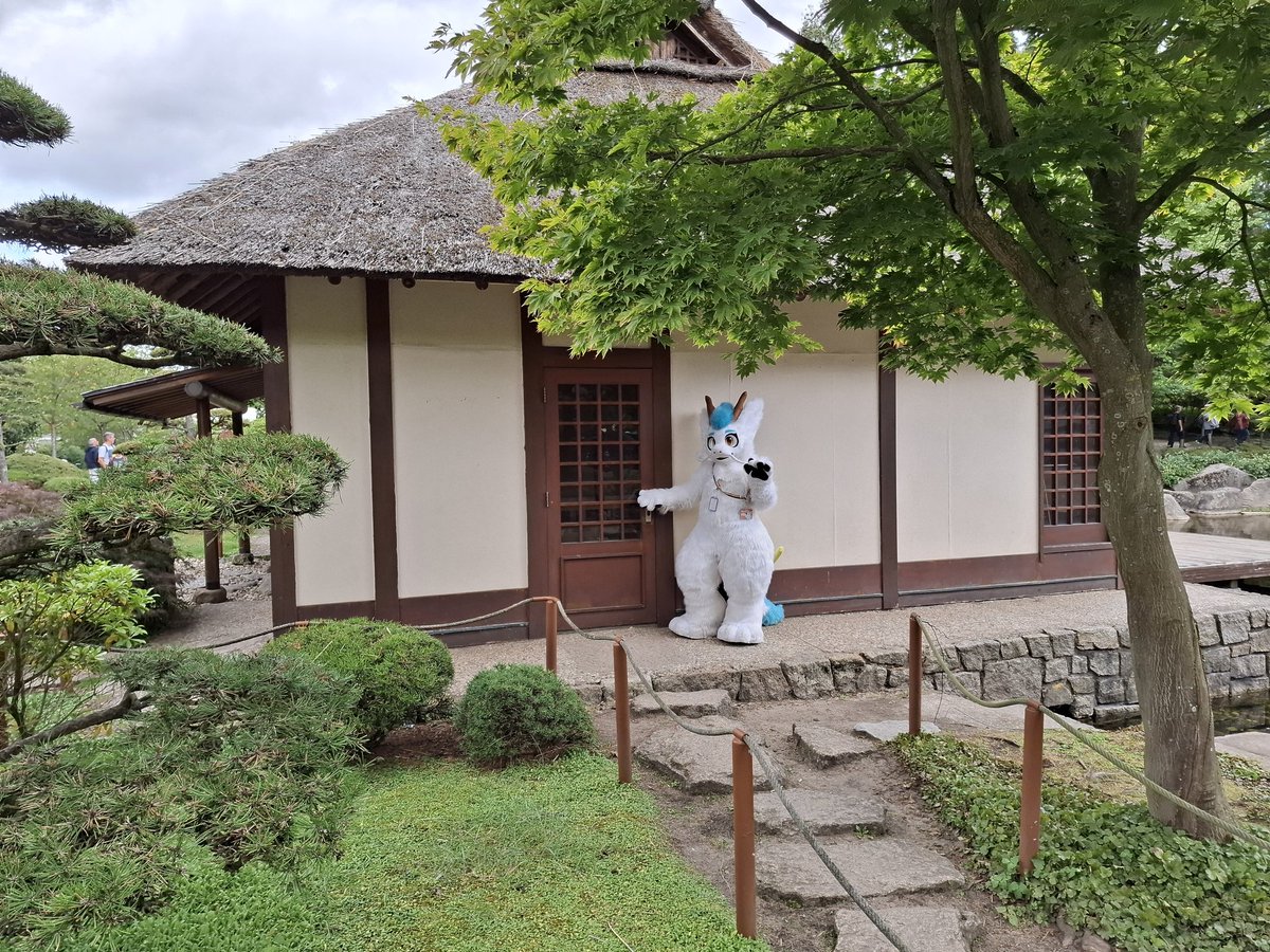 Rin the Dragon tweet media