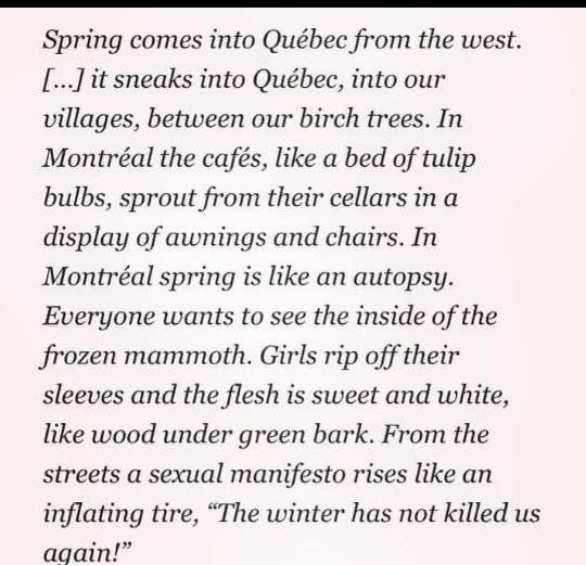 Toula Drimonis tweet media