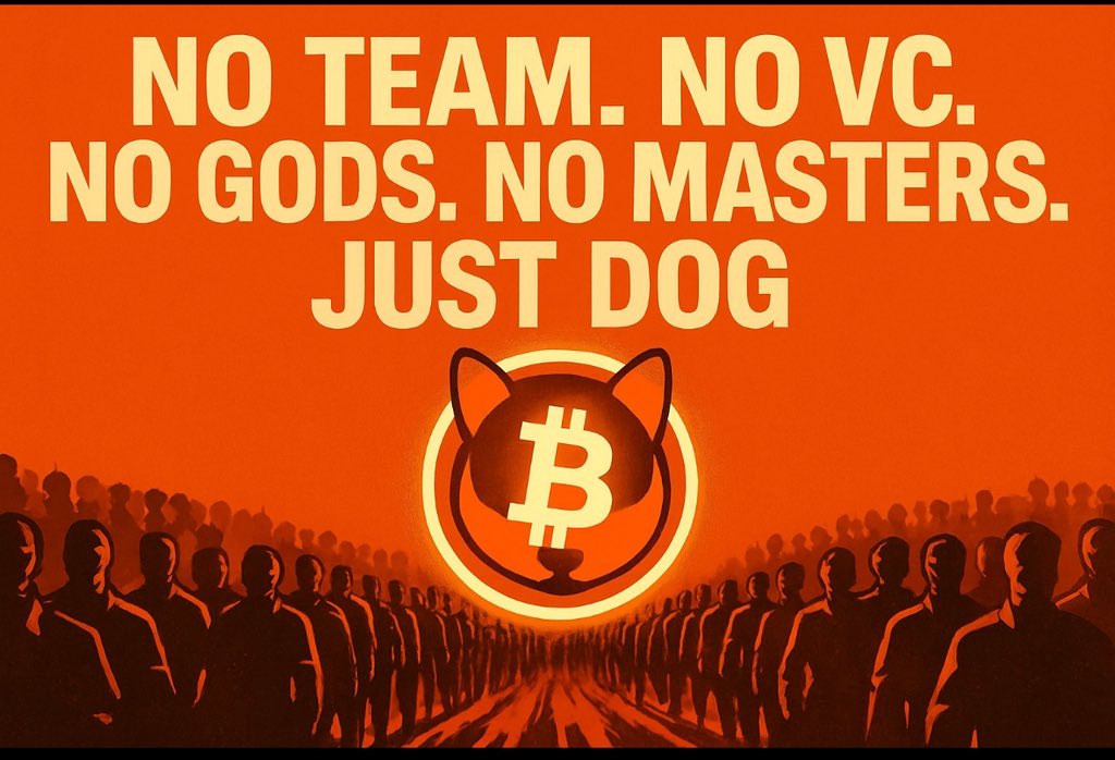 1Chance$DOG💜Kraken tweet media