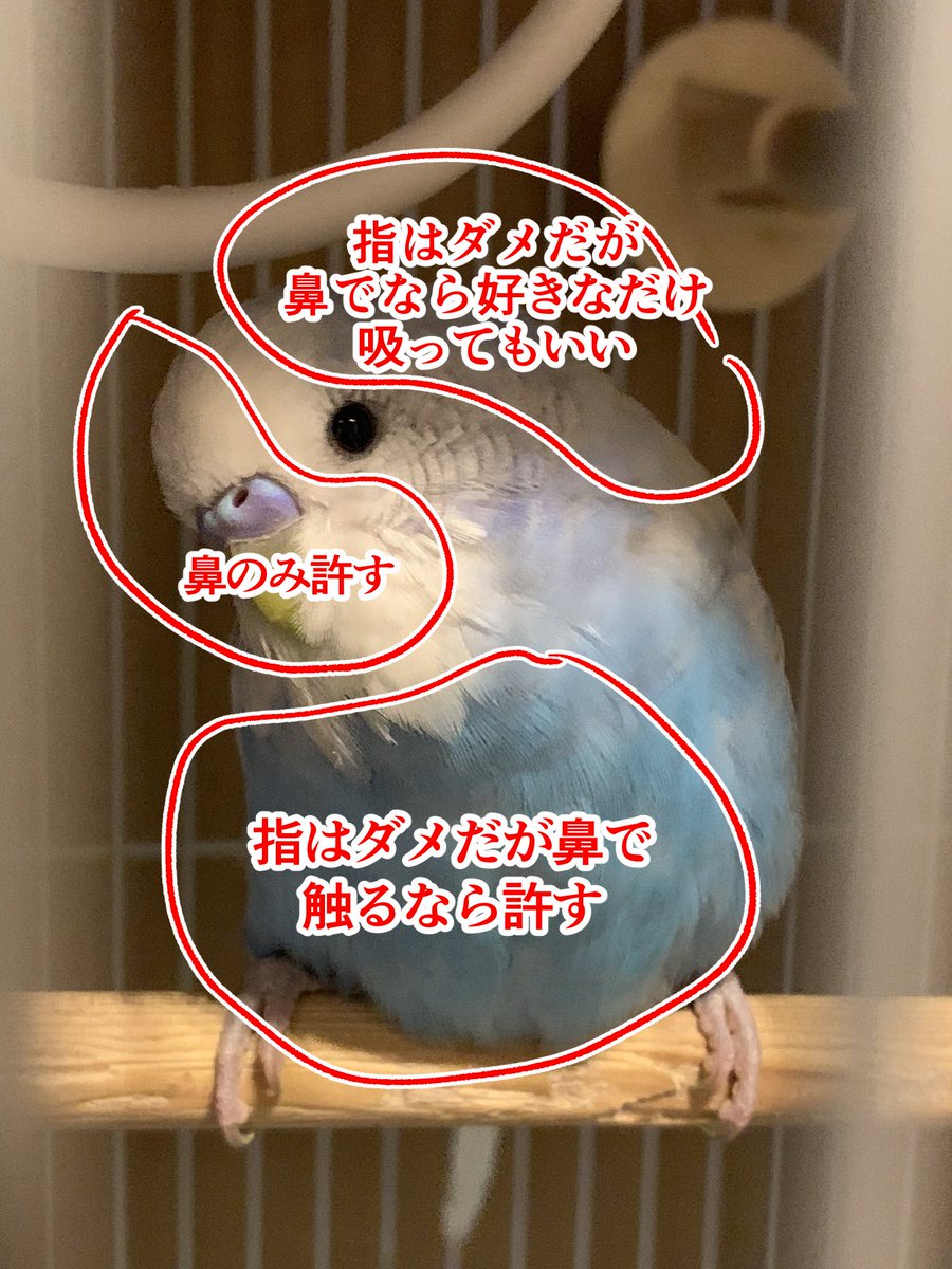 エイリゾ/EIRIZO tweet media