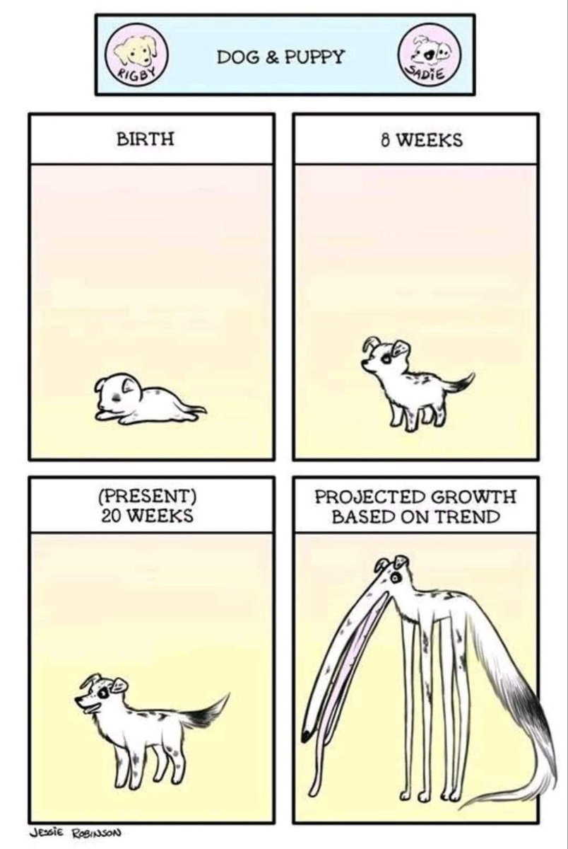 Adrian Gorzkowski 🇵🇱 tweet media