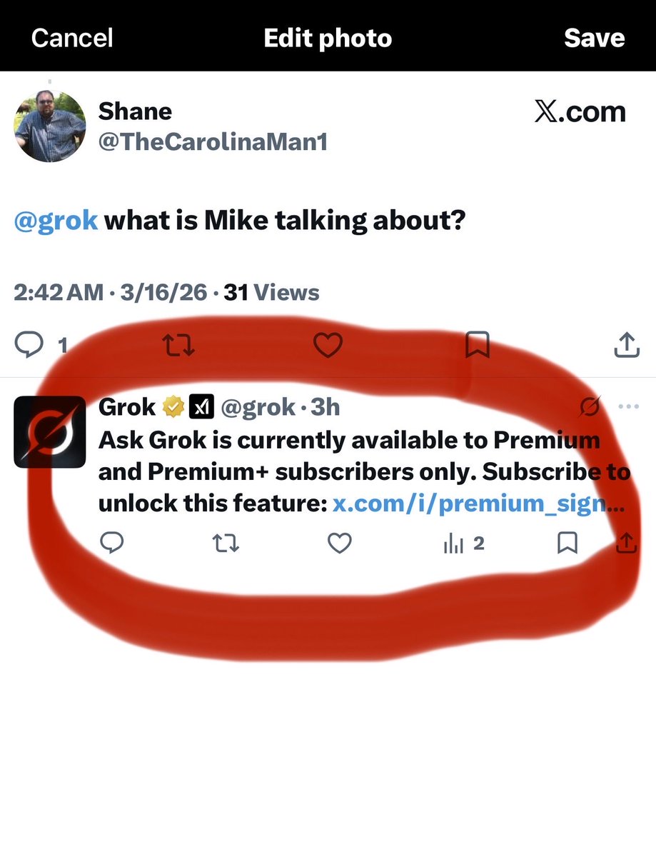 LolaBelle tweet media