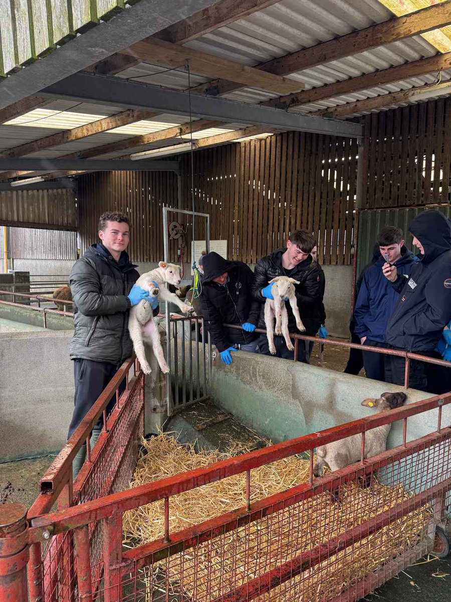 @naascbs tweet media