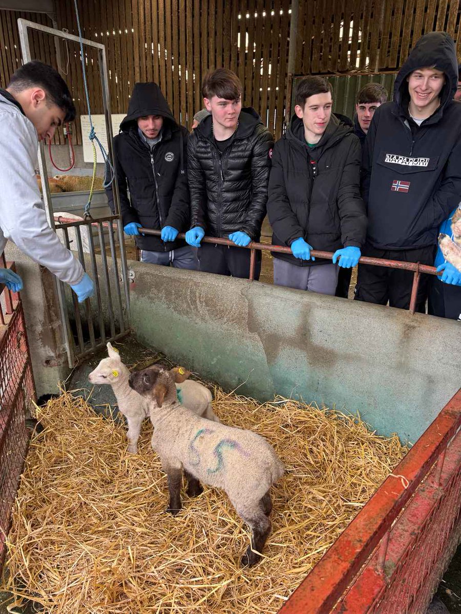 @naascbs tweet media