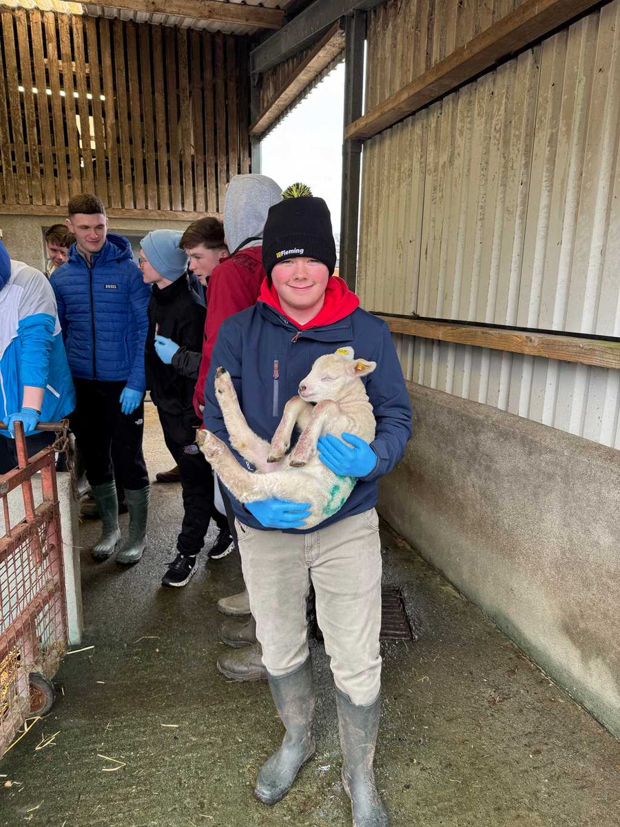 @naascbs tweet media