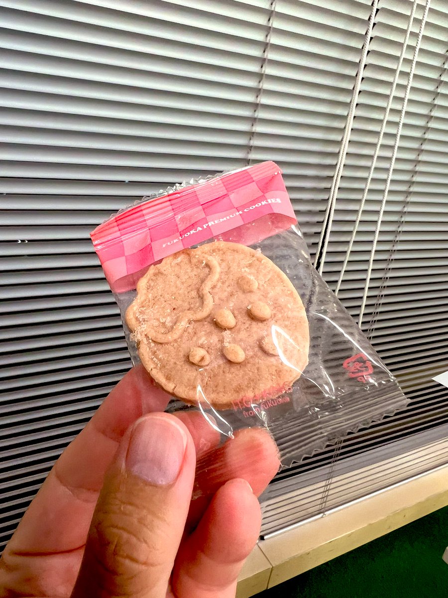 伊都きんぐ【公式】 tweet media