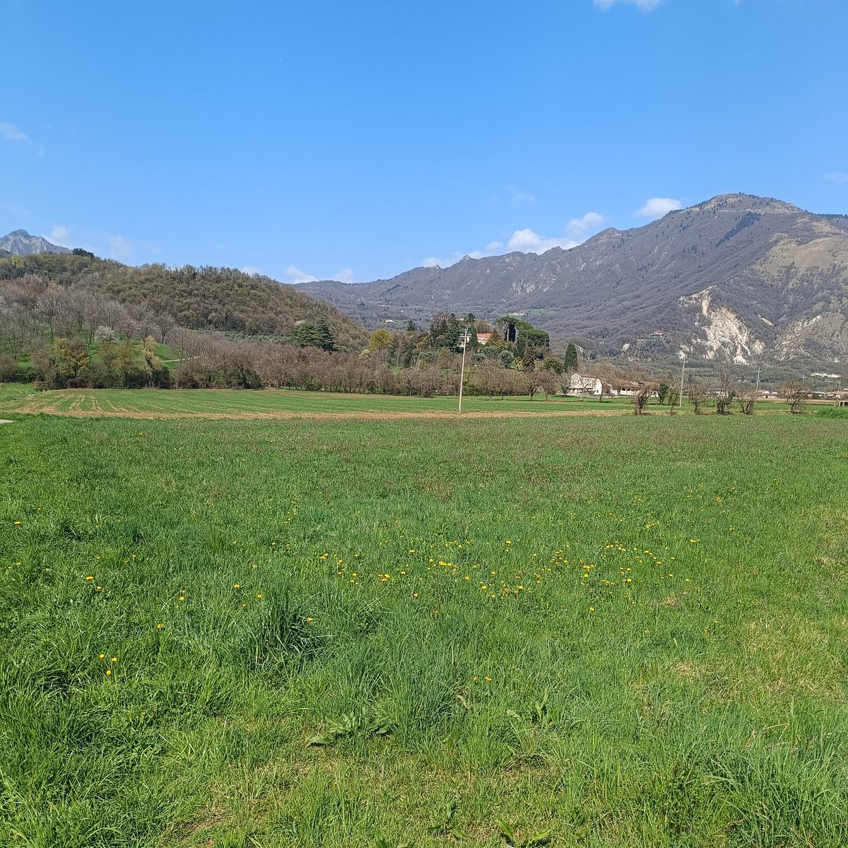 Mr.Ibrahim (Official)🥷🧭 tweet media