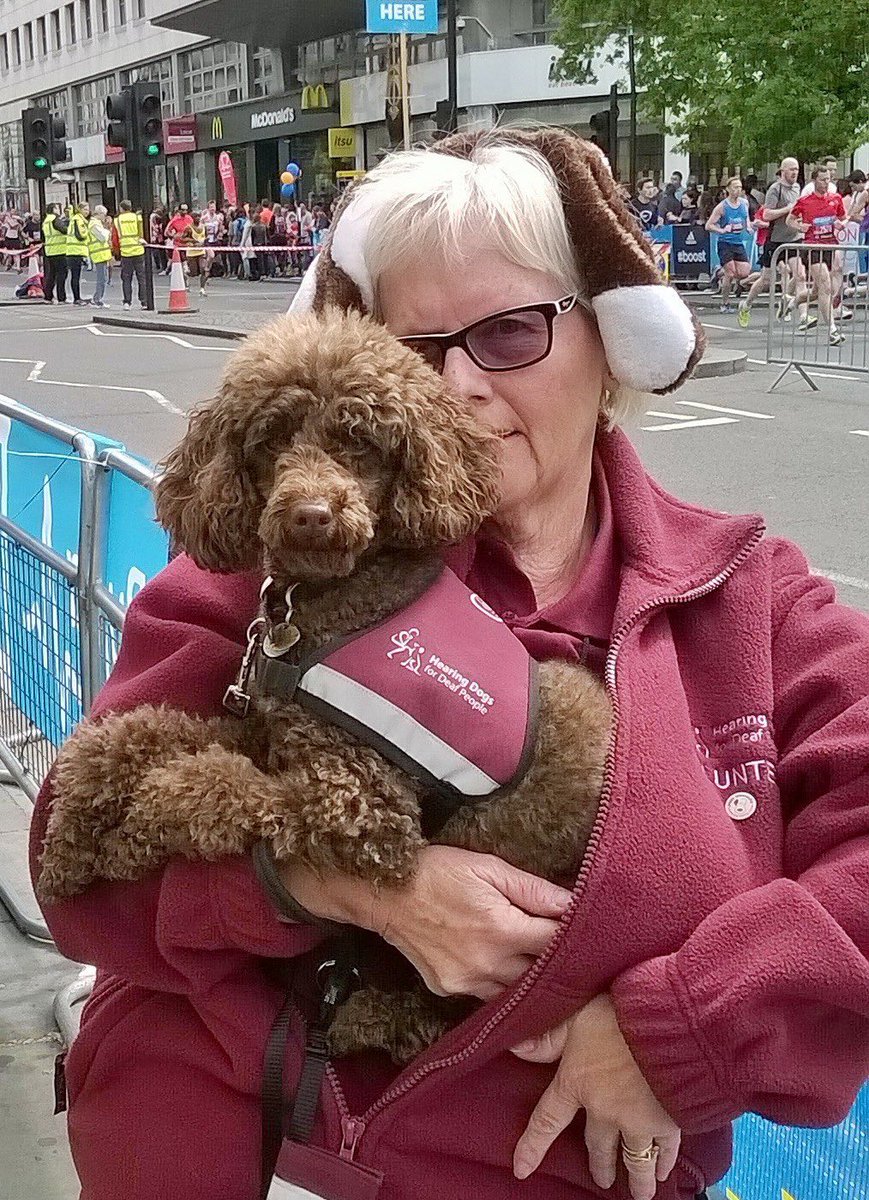 Hearing Dogs for Deaf People tweet media