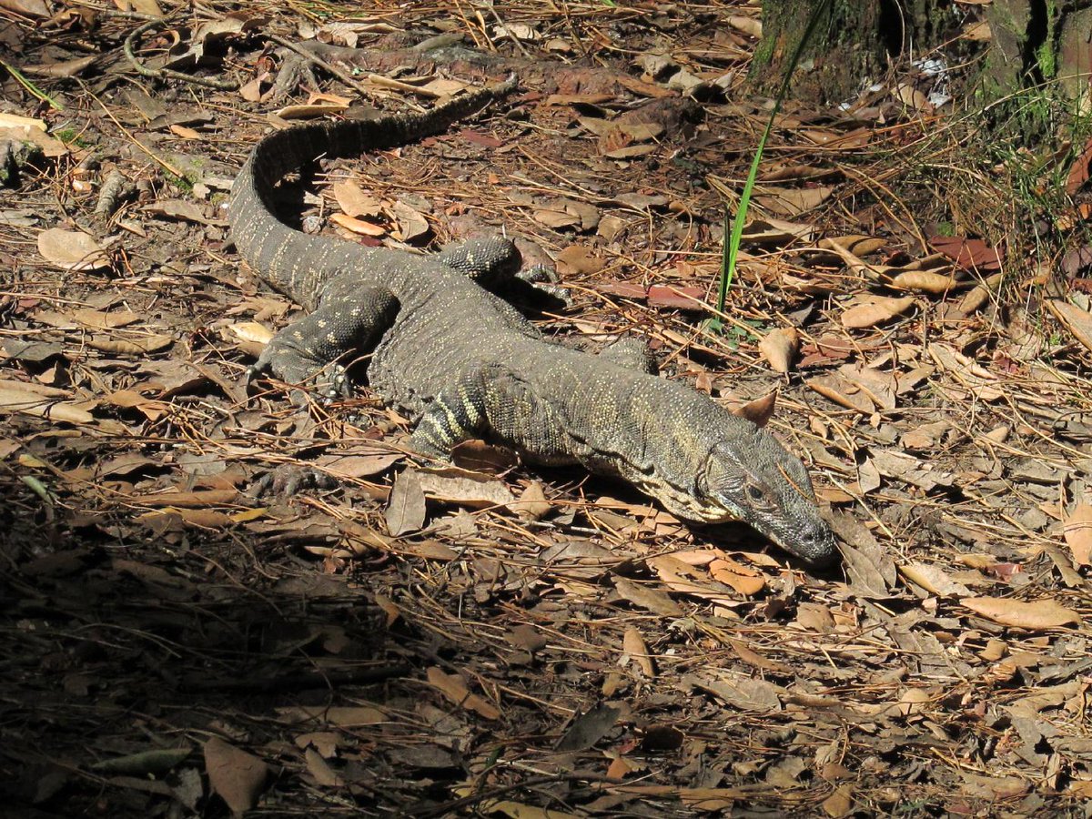 CJ_Baird tweet media