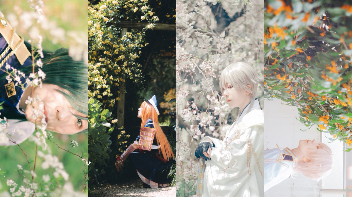 ももか🐾 tweet media