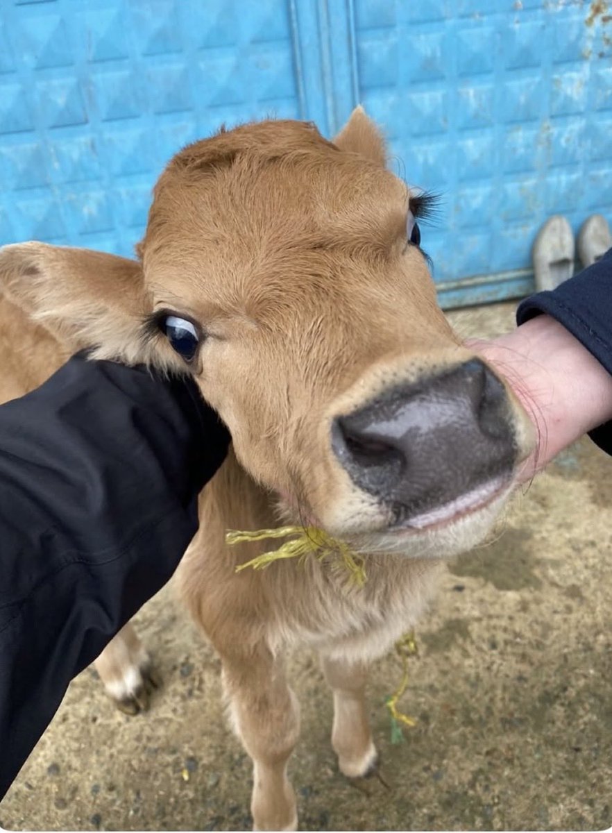 Korkma yavrum şeker bayramındayız 🍬😉
#eidmubarak 
#ramazanbayraminizmübarekolsun
