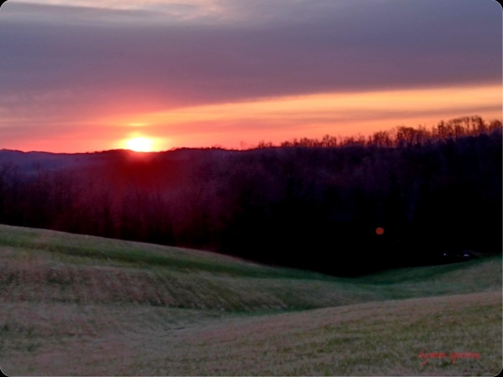 Gordon G. Chang tweet media