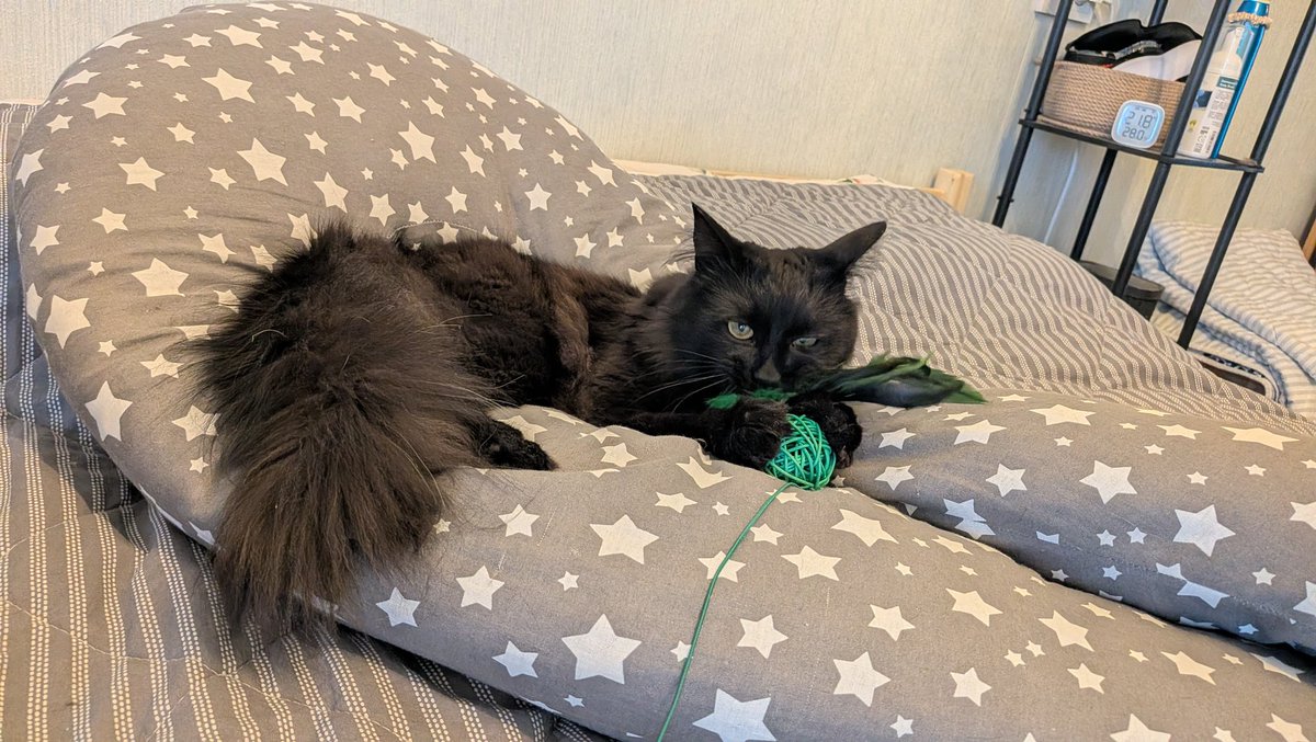 Половинка луны, меховые сыны tweet media