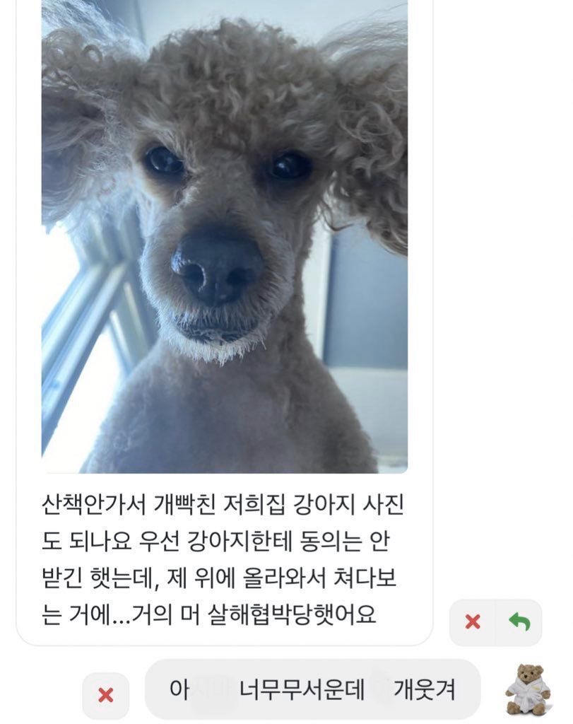 권필쌍 tweet media