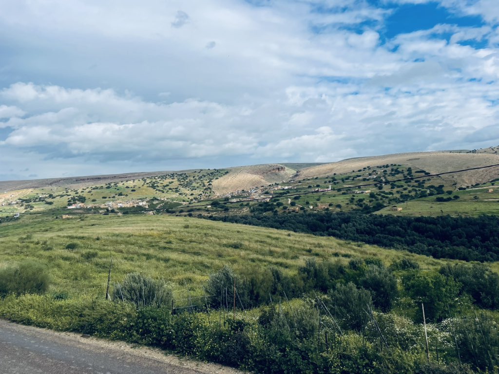 Niimaa ✭ tweet media